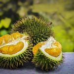 Close-up of durian – rich in vitamins and antioxidants Durian Secrets: The Nutritional Powers House You Never Knew