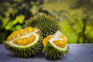 Close-up of durian – rich in vitamins and antioxidants Durian Secrets: The Nutritional Powers House You Never Knew