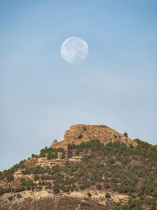 landscape pine moon mountain nature hiking