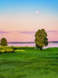 tree field nature sunset twilight moon beautiful outdoors landscape colorful pastels night sky sky blue and pink hue