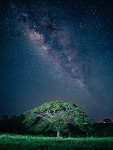 What gets wetter as it dries? tree rain milky way night nature nightscape galaxy space landscape iphone wallpaper