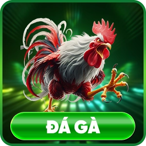 Đá gà nn88