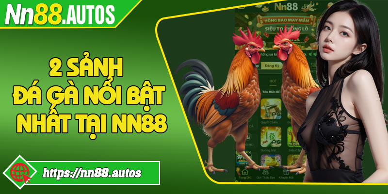 2 sảnh đá gà nổi bật nhất tại NN88