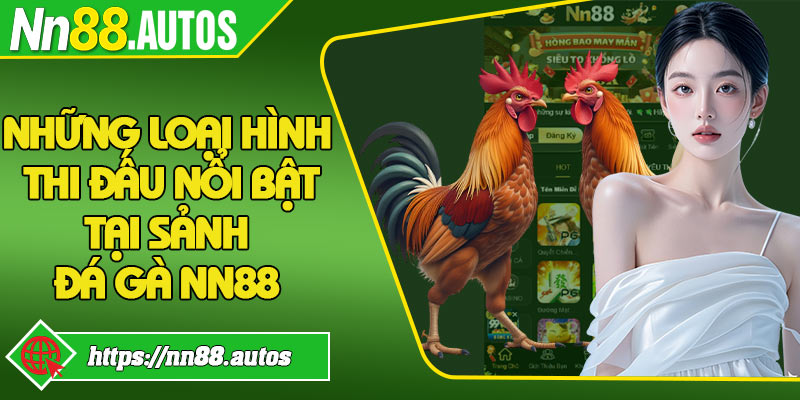 Những loại hình thi đấu nổi bật tại sảnh đá gà NN88